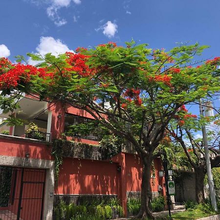 Hotel Arbol De Fuego Сан-Сальвадор Екстер'єр фото