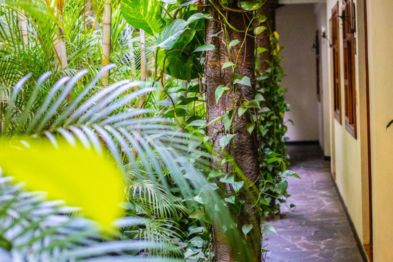 Hotel Arbol De Fuego Сан-Сальвадор Екстер'єр фото