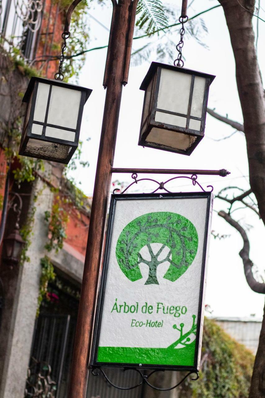 Hotel Arbol De Fuego Сан-Сальвадор Екстер'єр фото